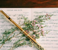 Волшебная флейта мастера
