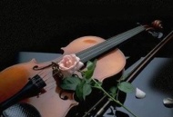 Во фраках и джинсах