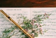 Флейта плюс