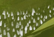 «То было раннею весной...»