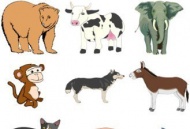 Ребятам о зверятах