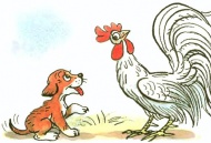 Кто сказал «мяу»?