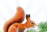 Сказка о доброй Белке