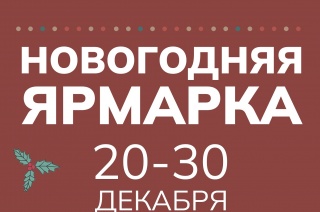 Внимание! С 20 по 30 декабря пройдёт Новогодняя ярмарка абонементов. 